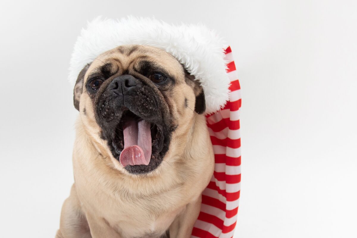 furnace repair Charlotte NC